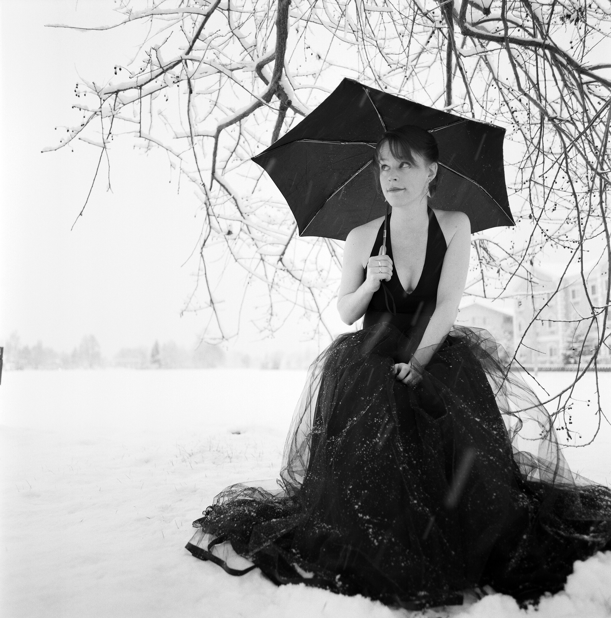 Photo by Brian Adams, baphotos.com